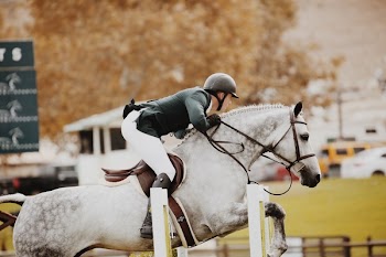 Person Riding Horse