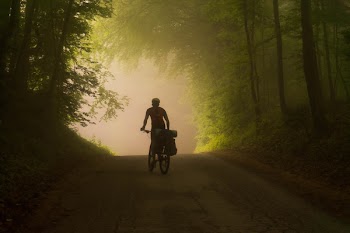Person Riding on Bicycle Near Trees