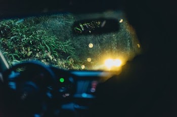person riding on car across green trees