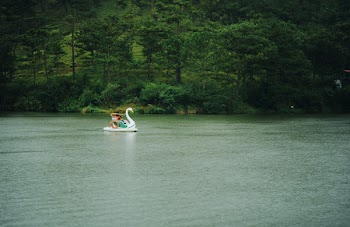 Person Riding on Swan Boat