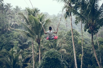 Person Riding on Zip Line