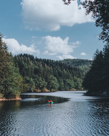 Person Riding Swimming Ring on Body of Water Surrounded With Trees