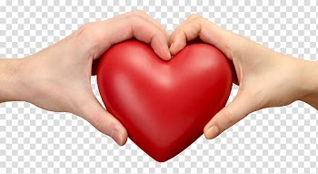 Person's hands, Love Heart , Love Heart transparent background PNG clipart