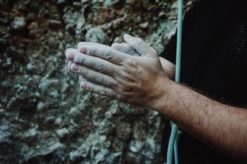 person's two hands