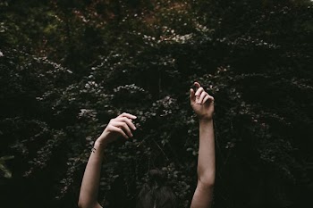 person's two hands near green plants
