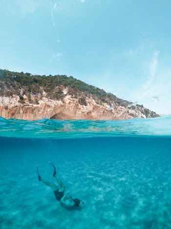 Person Scuba Diving