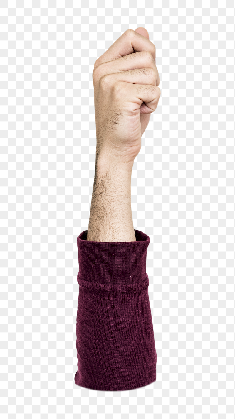 Person showing fist png, transparent | Free PNG - rawpixel