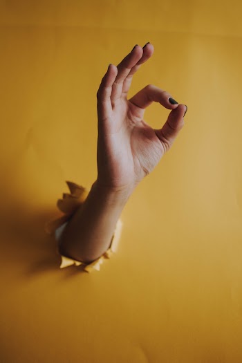 Person Showing Right Hand
