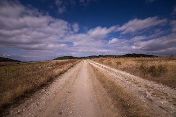 Person Showing Road