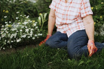 Person Sitting Beside White Petaled Flowers