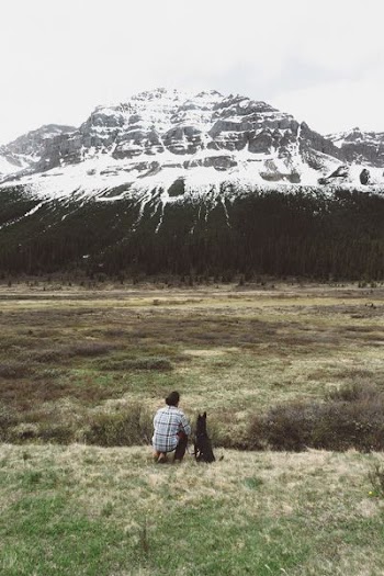 person sitting besides black dog while looking on black white and black mountain during daytime