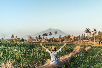 Person Sitting Near Corn Field Raising Both Hands