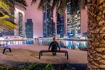 Person Sitting on Bench