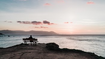 Person Sitting on Bench Facing the Sea