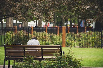 Person Sitting On Brown Wooden Bench