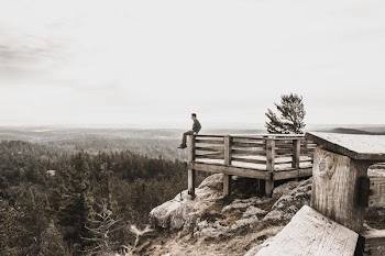 person sitting on brown wooden railings surrounded by trees