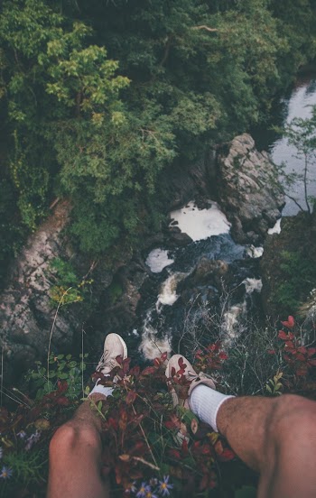 Person Sitting on Edge of Mountain With Flowers