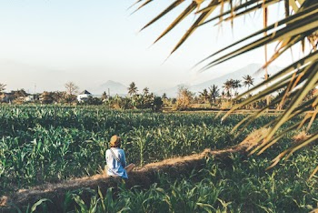 Person Sitting On Field