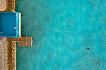 Person Sitting on Infinity Pool With Beach in Front