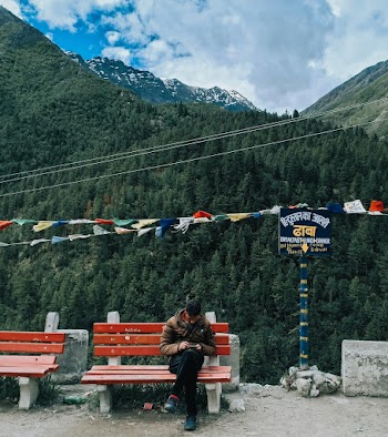 Person Sitting on Park Bench