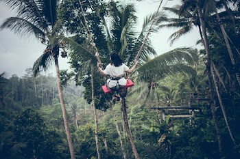 Person Sitting on Swing on Edge of Forest during Day