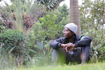 Person Sitting on the Grass Lawn