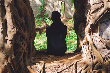 Person Sitting Under Tree