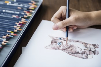 Person Sketching A Kitten 