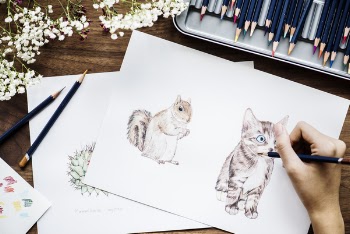 Person Sketching Brown Kitten and Squirrel on White Paper