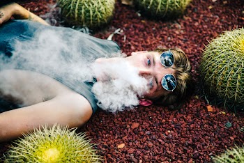 Person Smoking While Lying on Gravel With Cactus