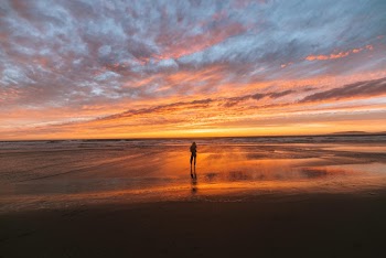 Person Standing At The Beach During Golden Hour