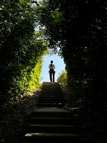 Person Standing at the Top of a Stairs Surrounded by Lush Greenery