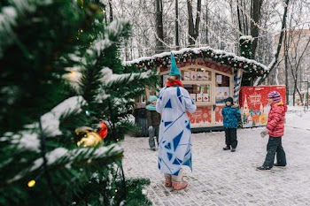 Person Standing Beside Christmas Tree