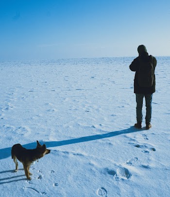 Person Standing Beside Dog