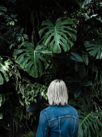 Person Standing Beside Green Leaf Plants