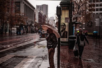 Person Standing Beside Road
