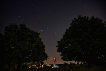 Person Standing Between Two Trees during Night Time