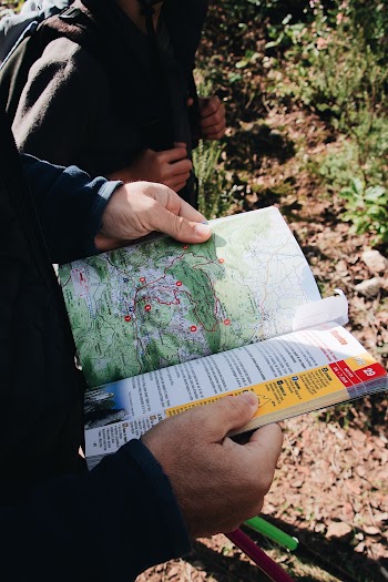 Person Standing Holding Magazine