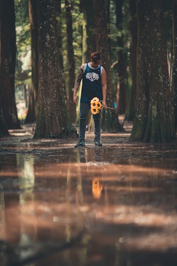 Person Standing in Forest