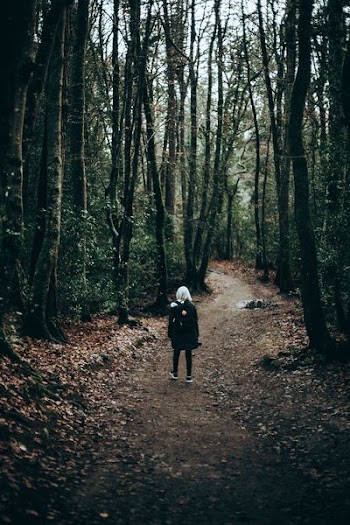 person standing in forest during daytime