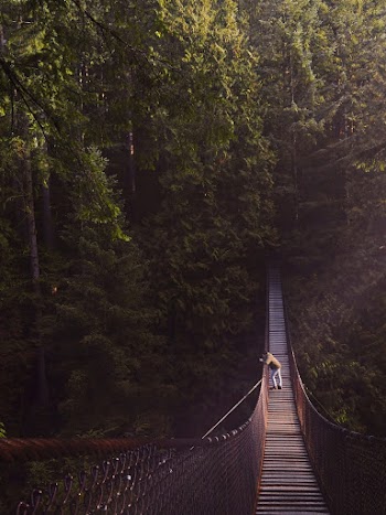 Person Standing in Front of Brown Bridge