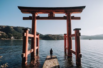 person standing in front of Torii Gate
