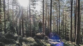 person standing in rock on forest during daytime