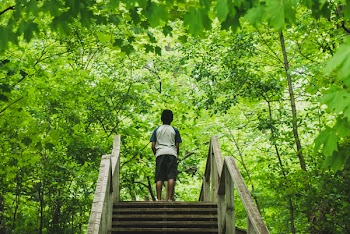 Person Standing in Stairs Looking Up