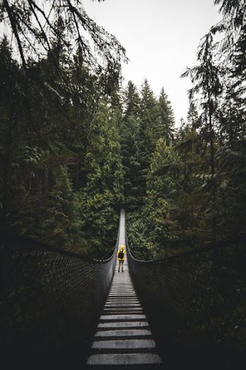 person standing in the center of hanging bridge at daytime