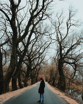 Person Standing In The Middle Of The Road