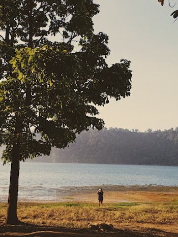 Person Standing Near Body Of Water And Tree