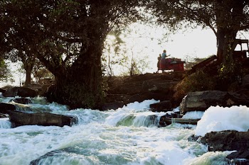 Person Standing Near Body of Water and Trees