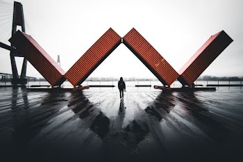 person standing near filed intermodal containers