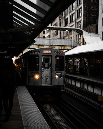 Person Standing Near Gray Train